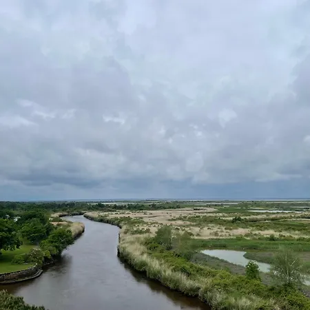 Les Oliviers شقة *