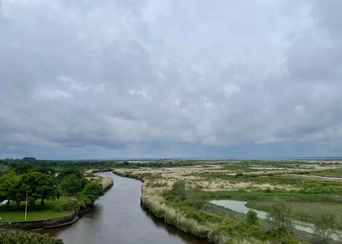 Les Oliviers شقة *