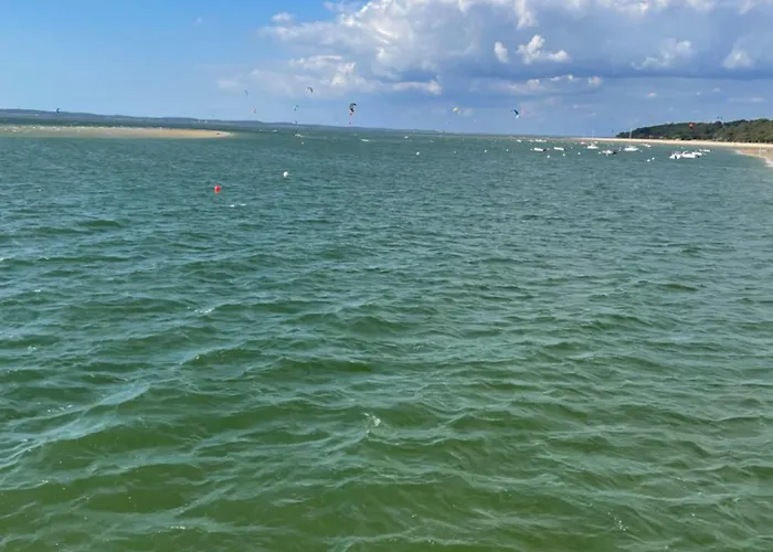 شقة Les Oliviers *