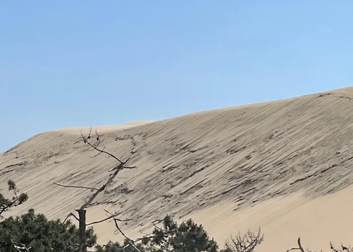 Les Oliviers شقة *